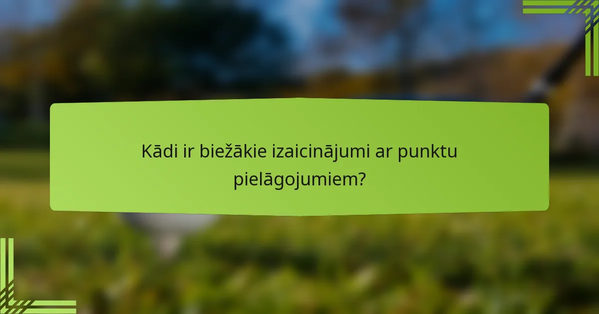 Kādi ir biežākie izaicinājumi ar punktu pielāgojumiem?